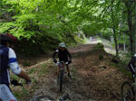 gal/2010/04 - Nel Parco delle foreste Casentinesi - 22 Maggio/03 _sentiero_degli_acuti/_thb_11_in_discesa_negli_Acut-01.jpg